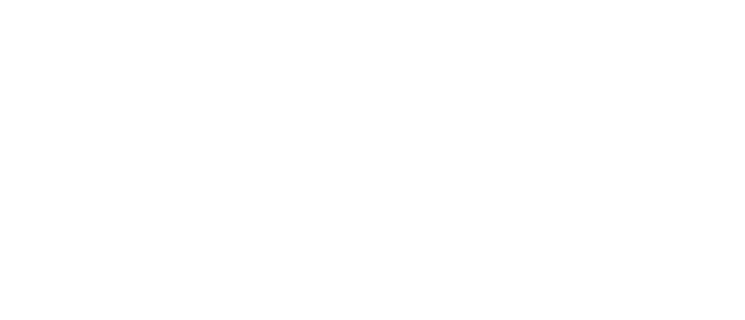 Allpanelexch version 3 Logo