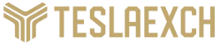 TESLA Logo